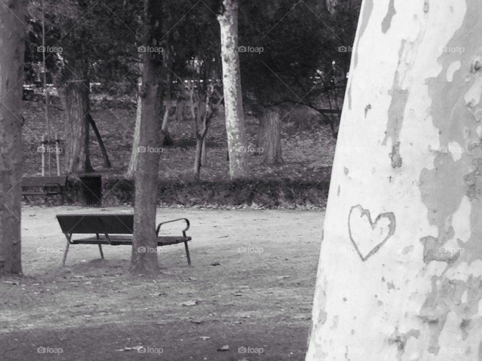 Lovers park