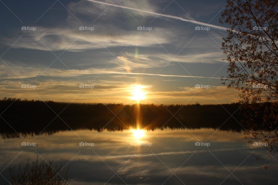 Swan lake and picturesque nature near Novy Sad in Serbia