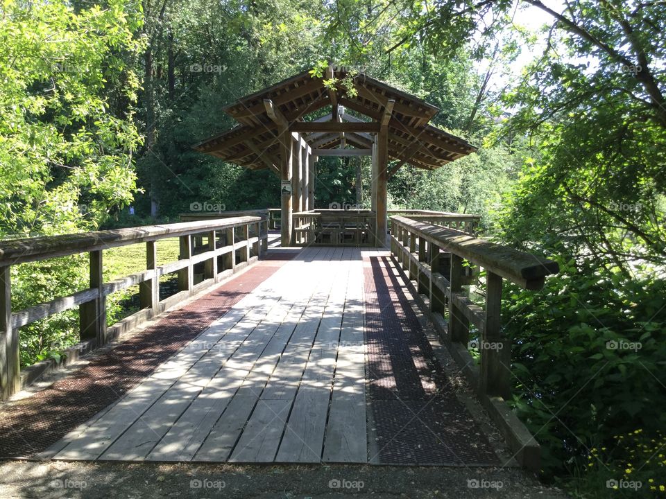 Covered Bridge in the Woods