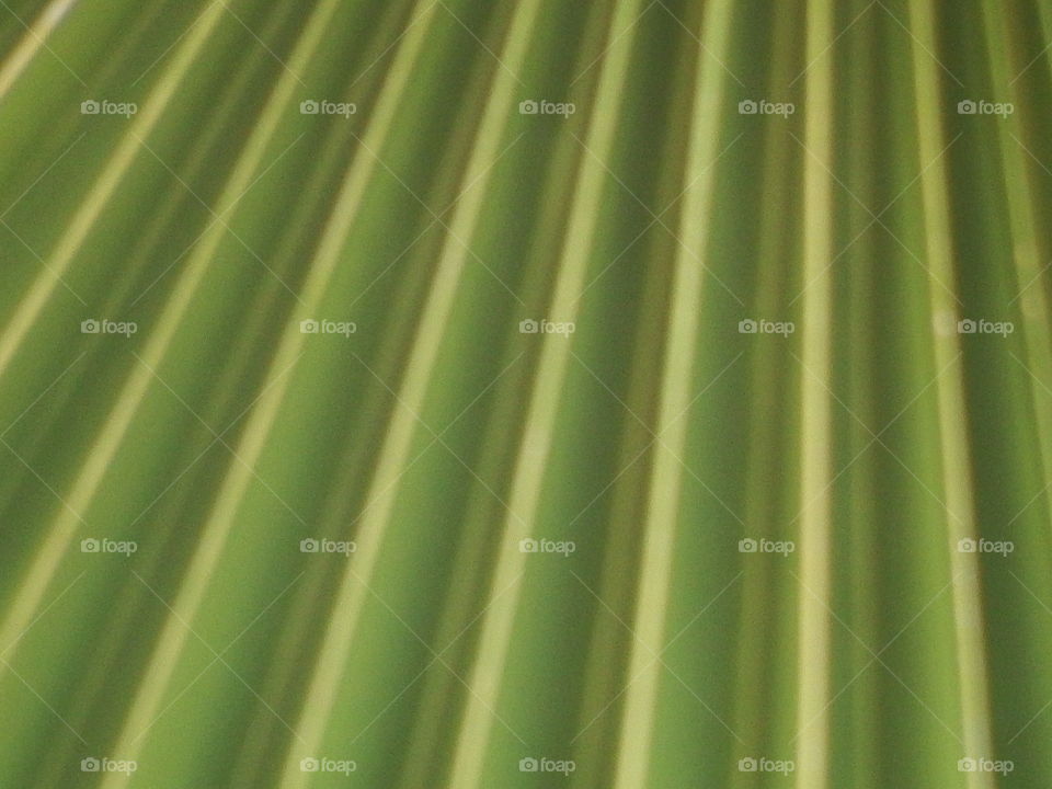 Green striped background.
