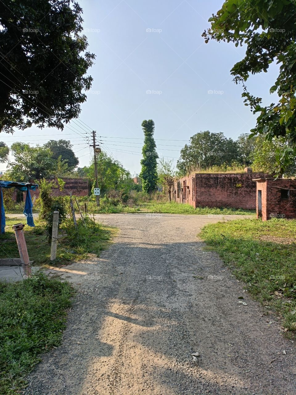 editors' choice: photo of the week