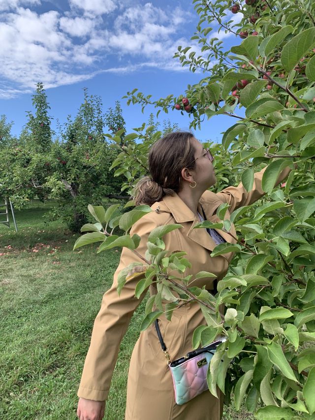 Harvest Time 🍂