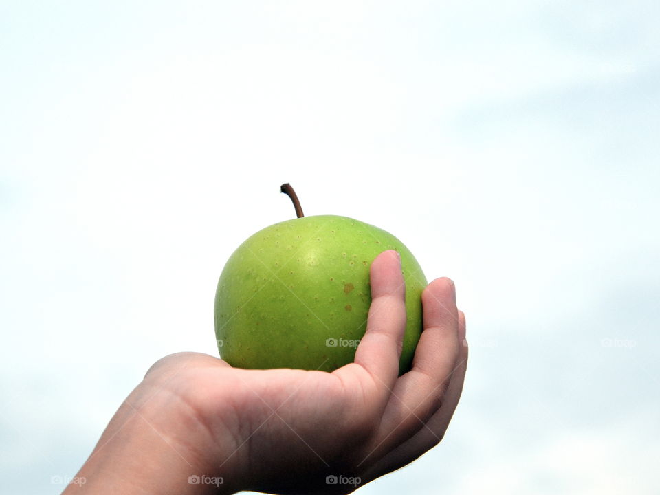 holding food