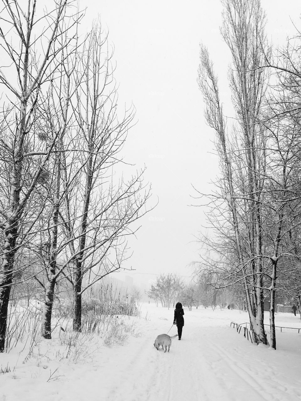 Woman walking with a dog in winter 