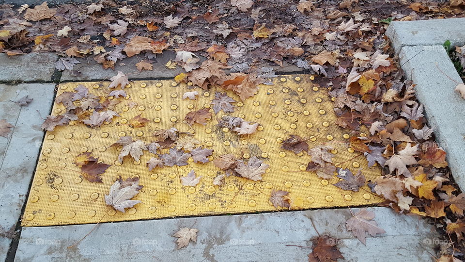 leaves on a yellow mat