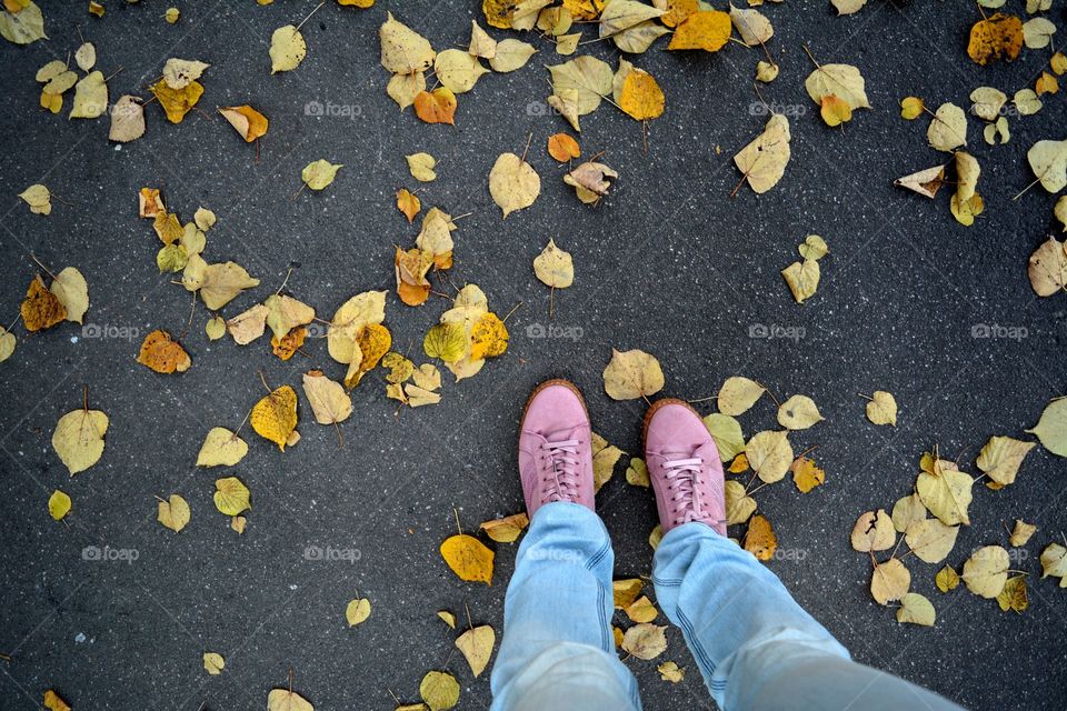 female legs shoes walking on a fall street top view