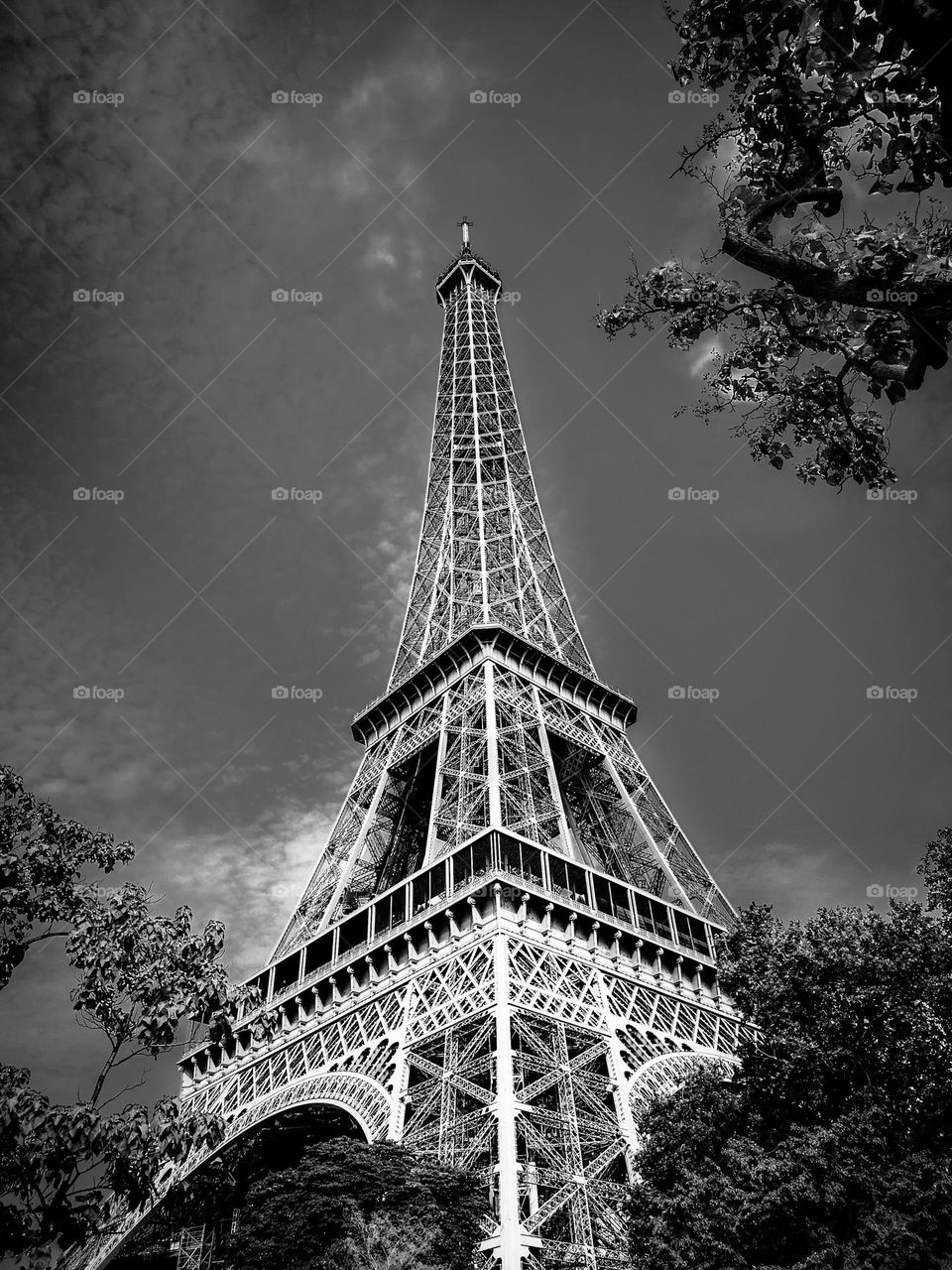 Parisian Dream: Eiffel Tower in Black and White