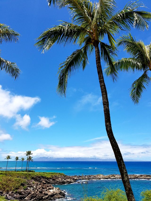 Paradise
