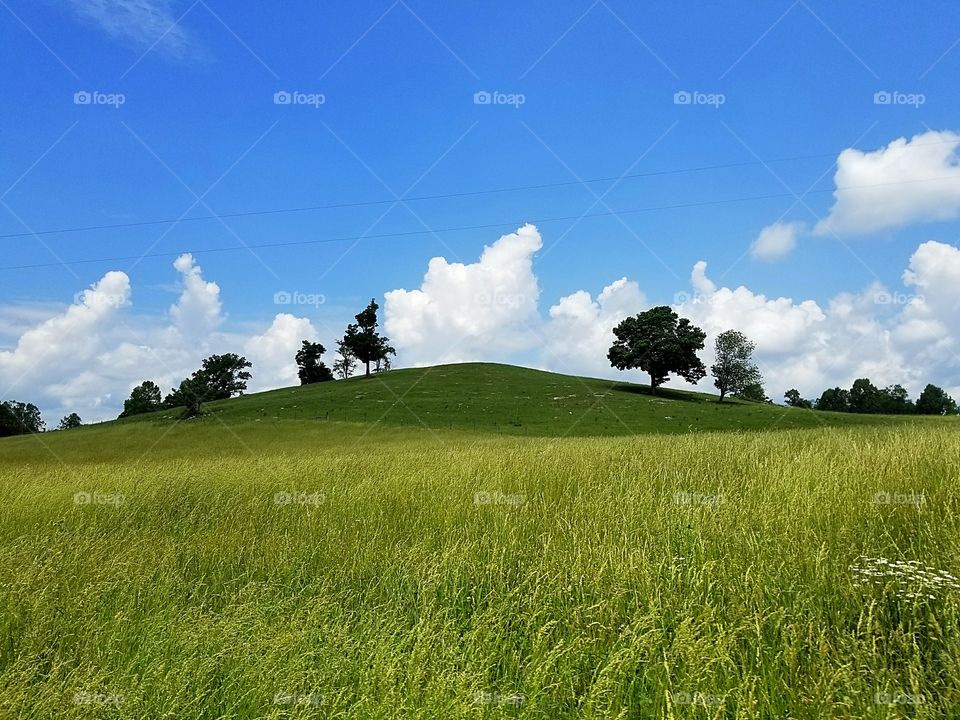 roadside hill. meadows of green