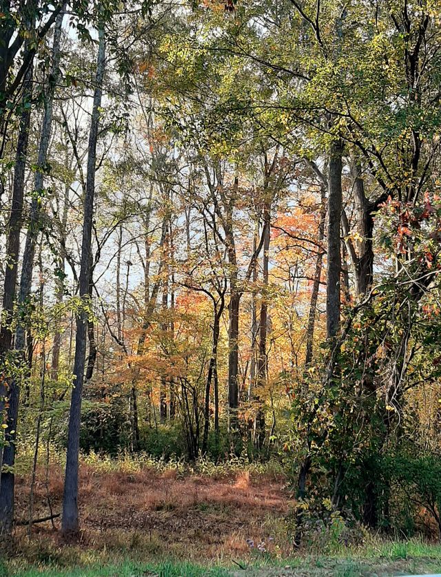 beuty of autumn