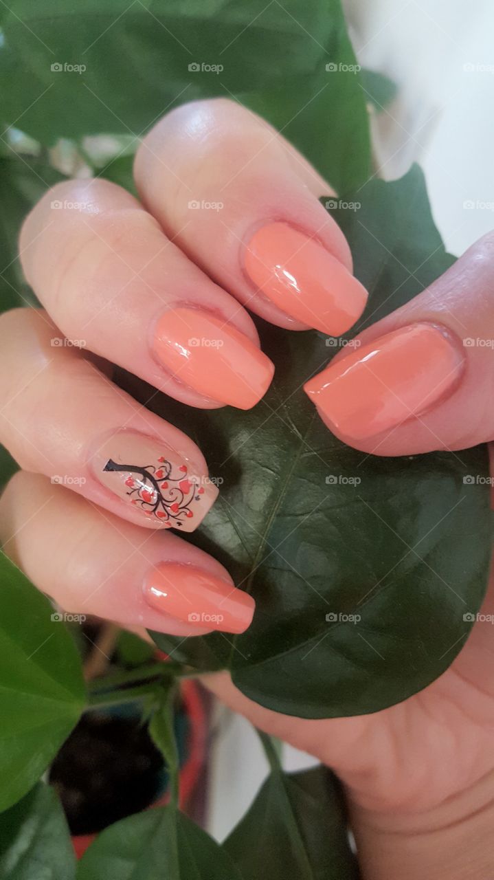 Gel manicure with a tree decoration