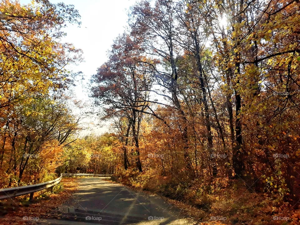 Autumn vibes around