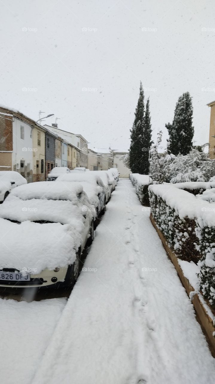 nieve en 2021 enero.