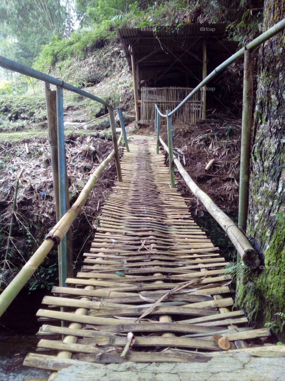 Bridge