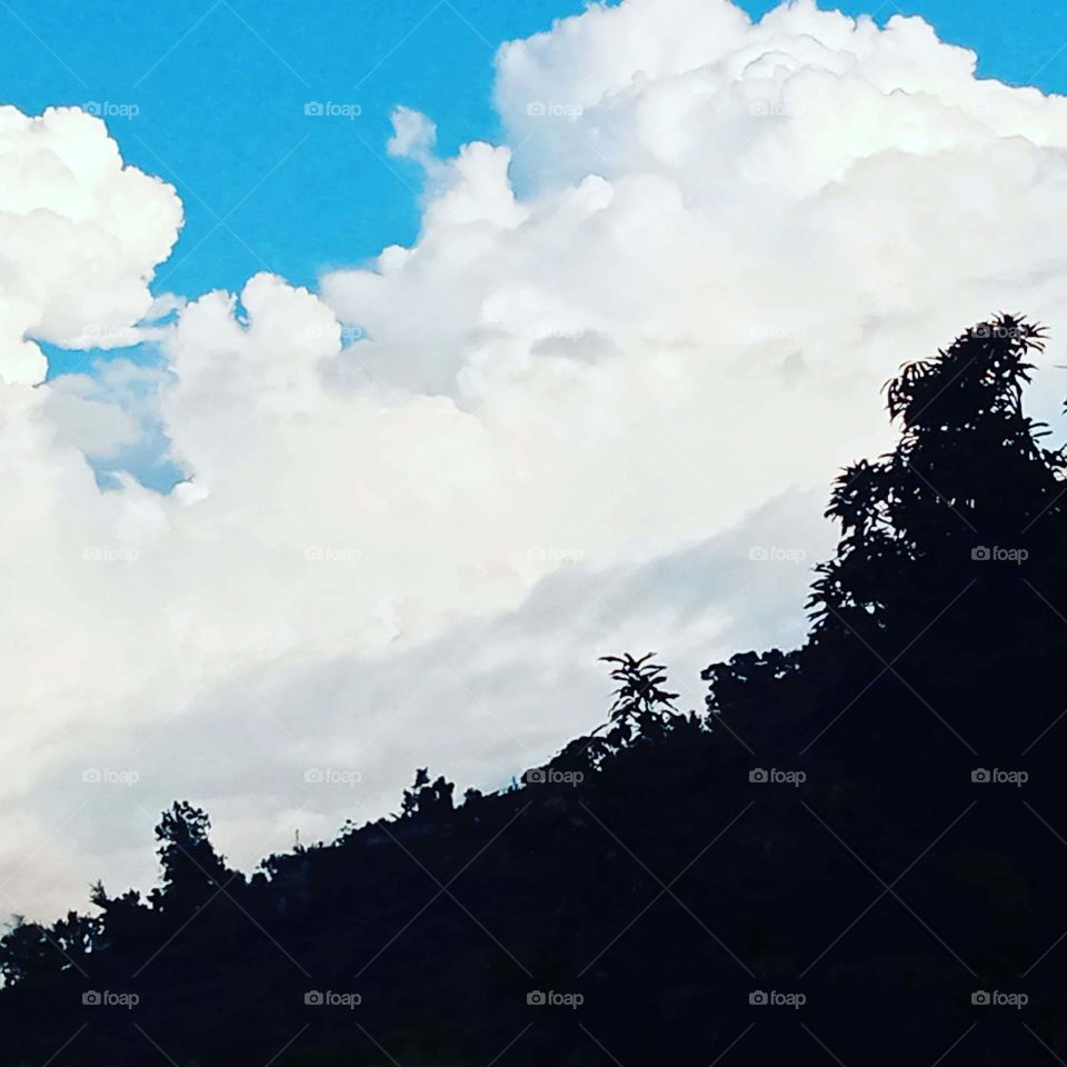 Perfect combination of blue, white and black