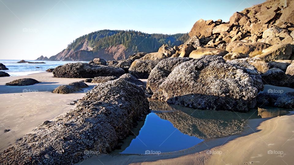 Indian tide pools