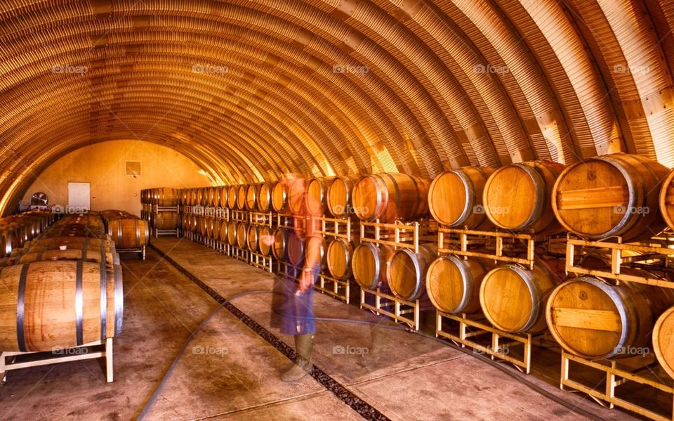 Winemaker Working in Cellar