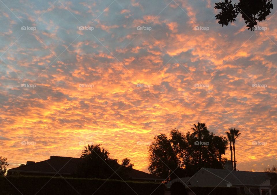 Sunset in Los Angeles 