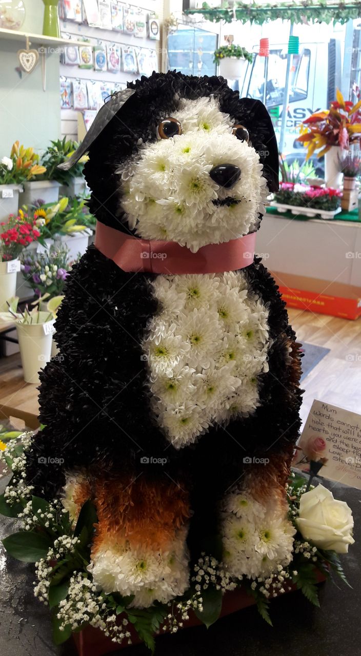 Funeral flower tribute of a dog