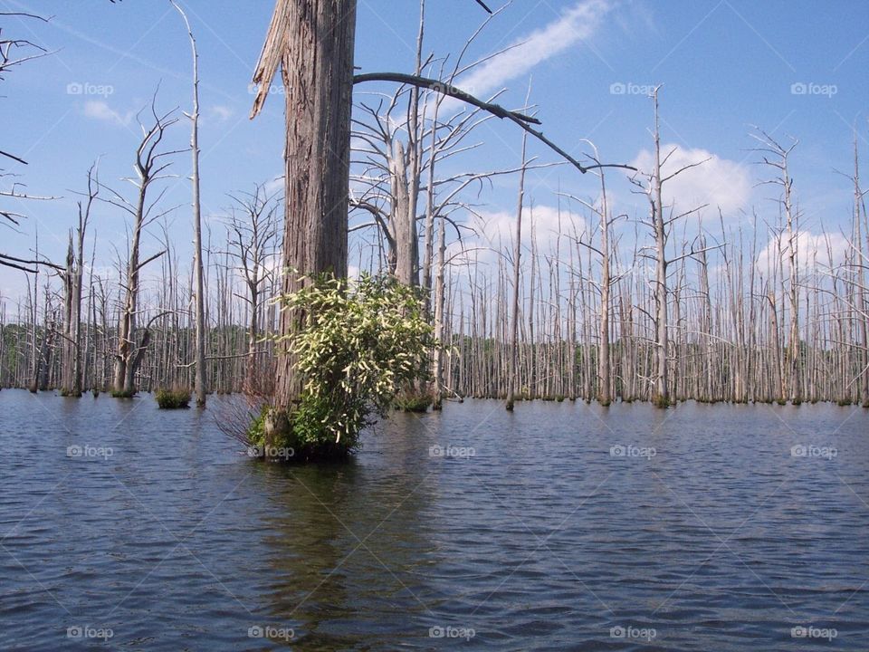 Cane Creek State Park in Arkansas 