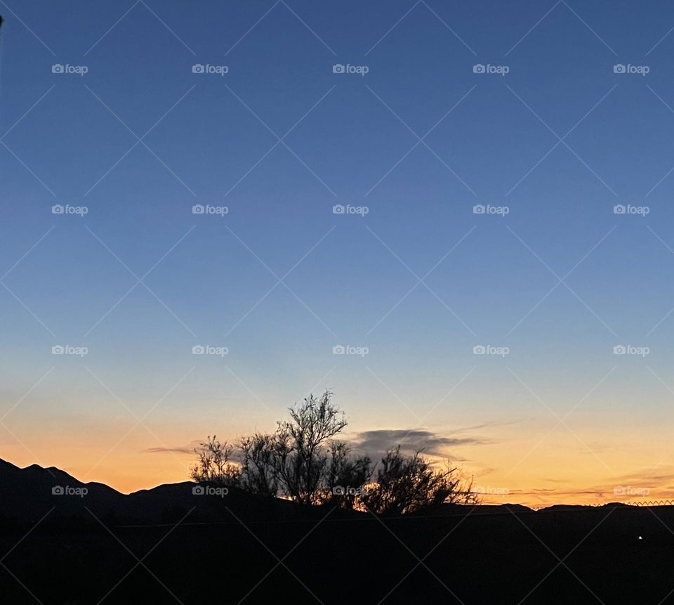 A sunset with a tree and mountains.