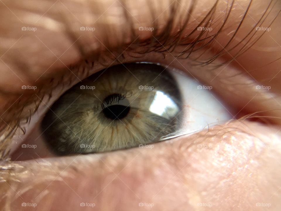 Close-up of human eye