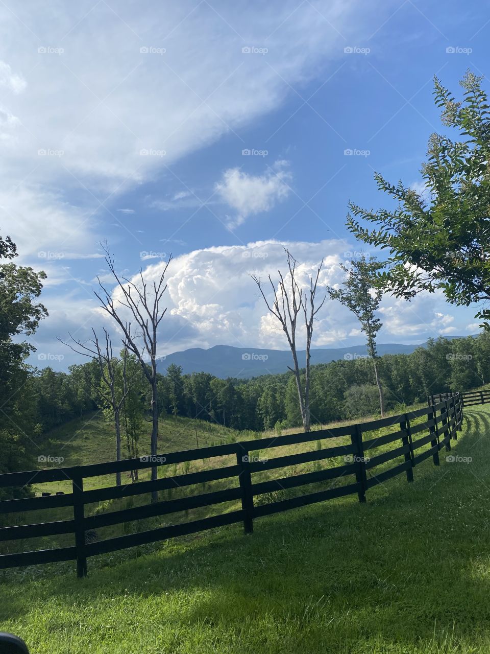 Series: A View From My Window