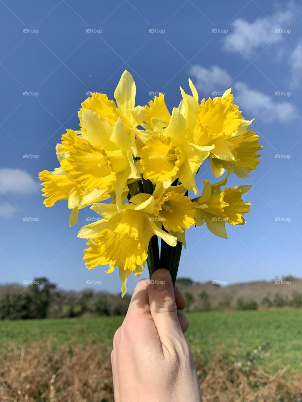 Editor’s Choice: Photo of the Week