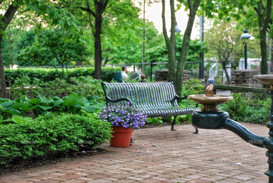 Park bench and water fountain. Beautiful park with an empty park bench flowers and a water fountain