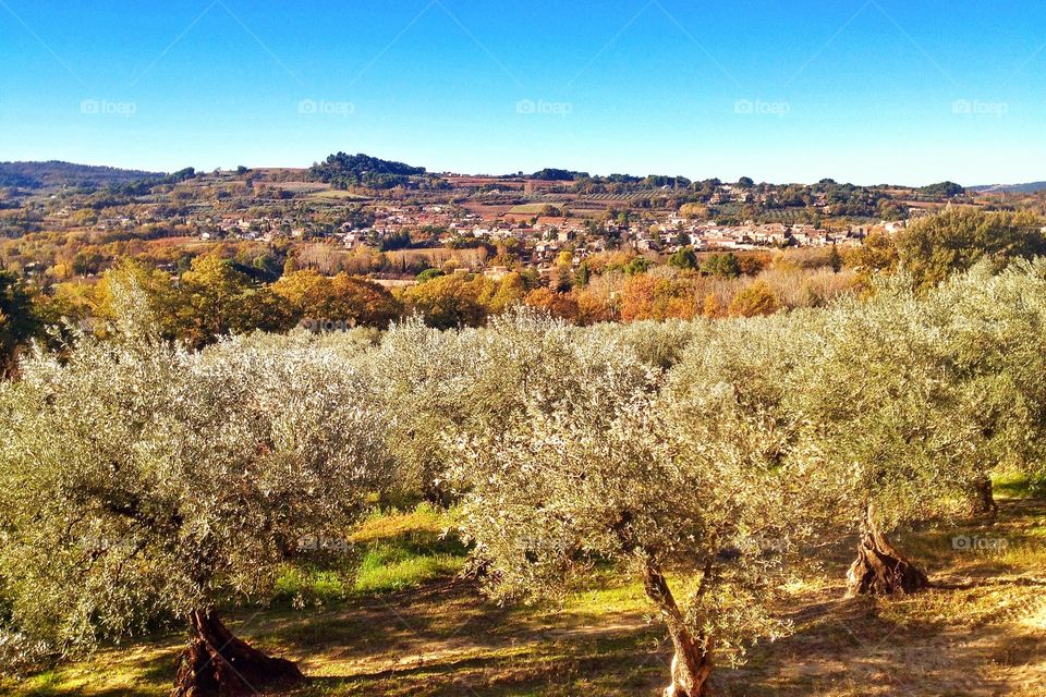 Fall in France
