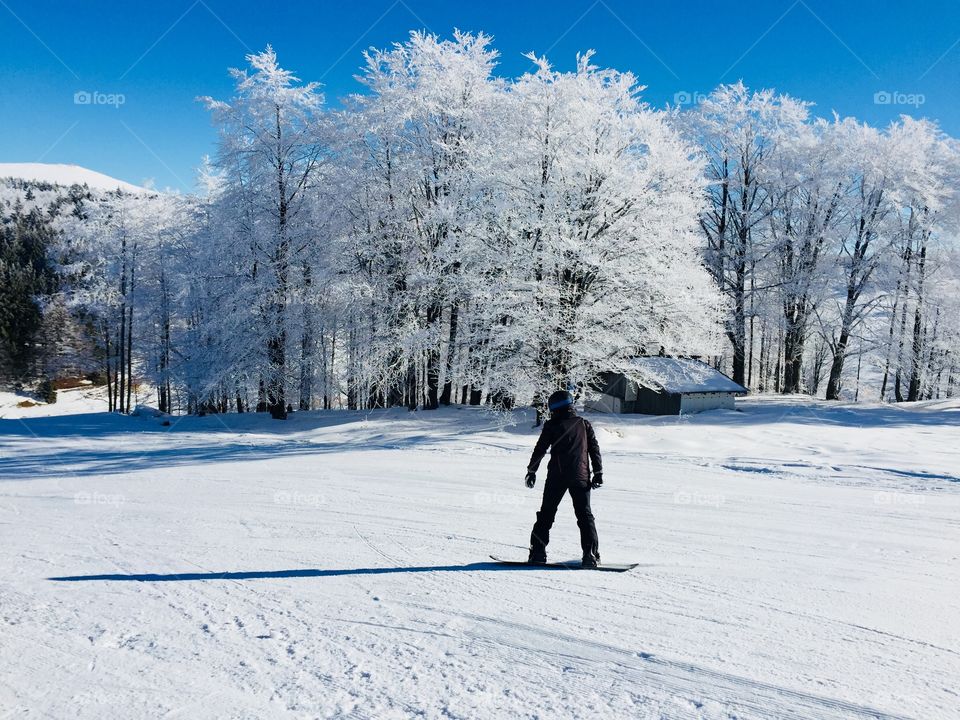 Man with snowboard going down the slope surrounded by trees covered in snow 

