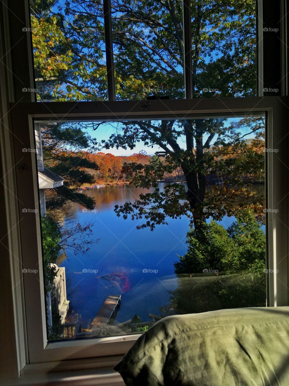 A beautiful autumn view from a bedroom window. 