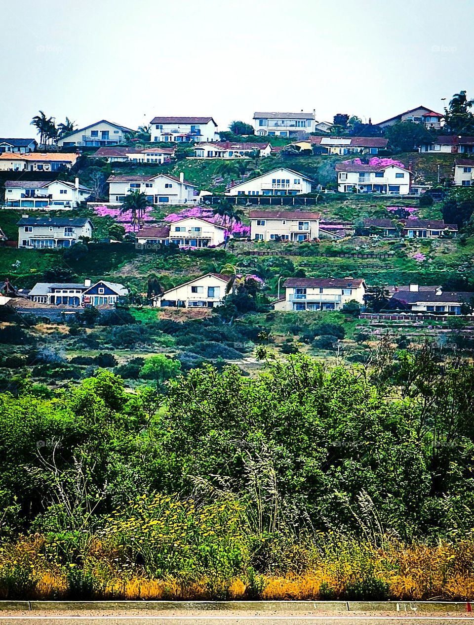 hillside homes