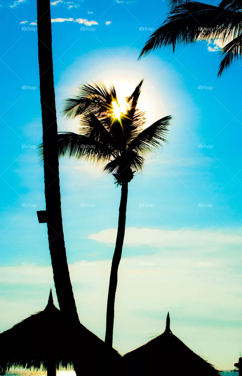 Aruba