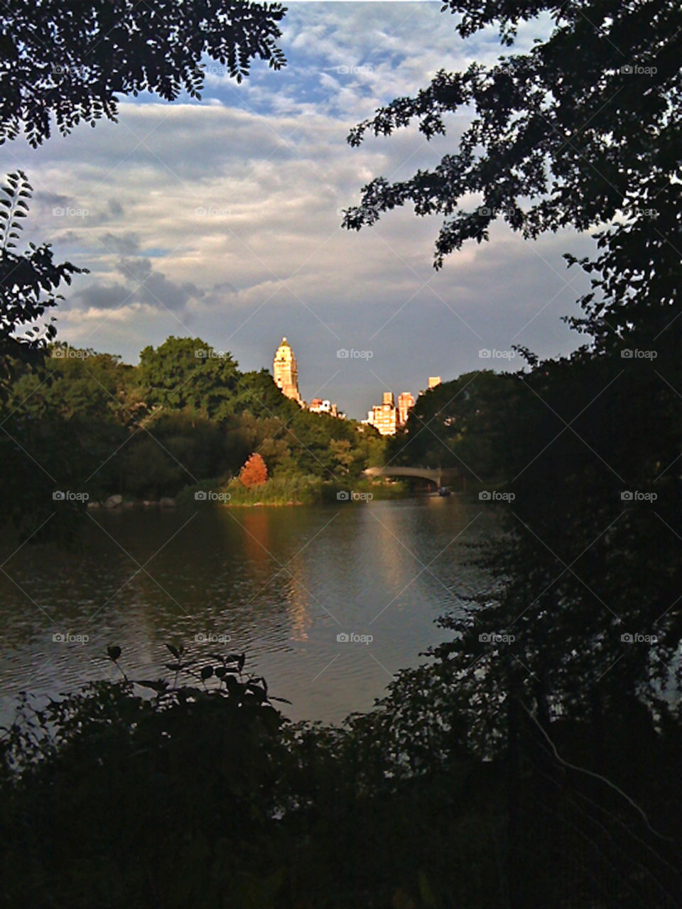 Central Park gloaming. Sunset illuminated buildings reflect on the Central Park pond at twilight.