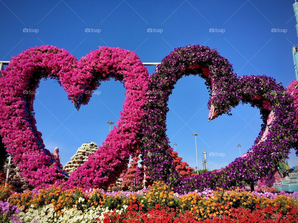 Love shapes decorated with flowers, heart shaped flower decoration and blue sky background