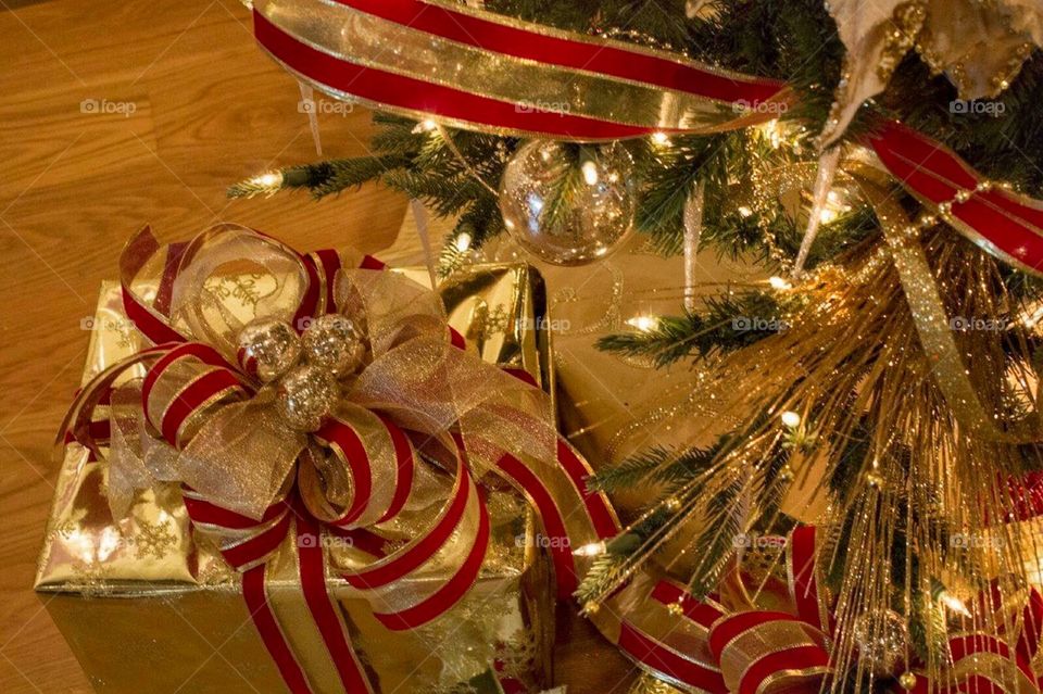Present under a tree. A gold and red wrapped Christmas present under a tree. 