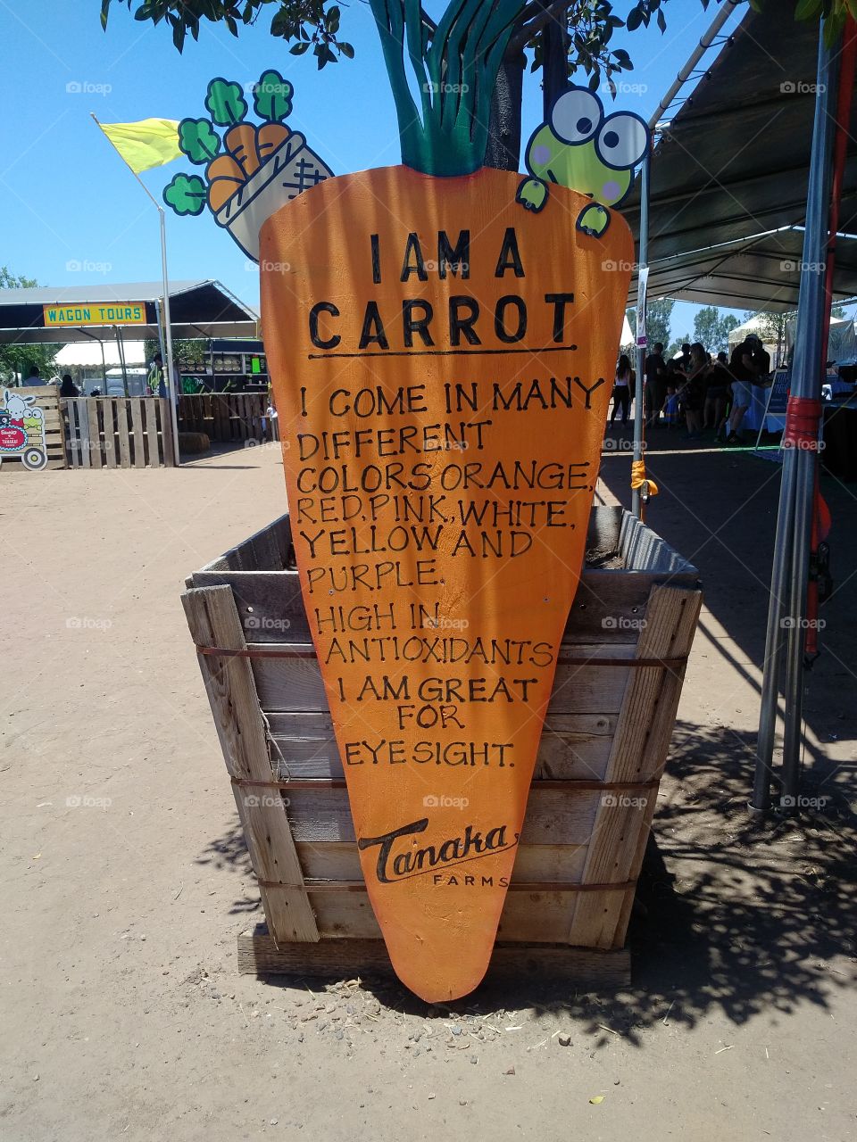I am a Carrot