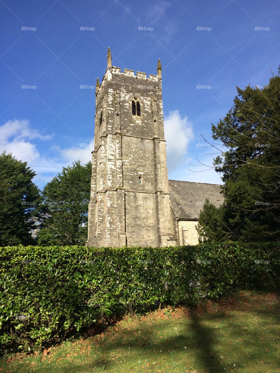 The hedge, the tower, the sky 