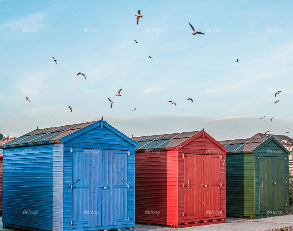 Seagulls fly above colourful beach huts at St Leonards on sea, UK 