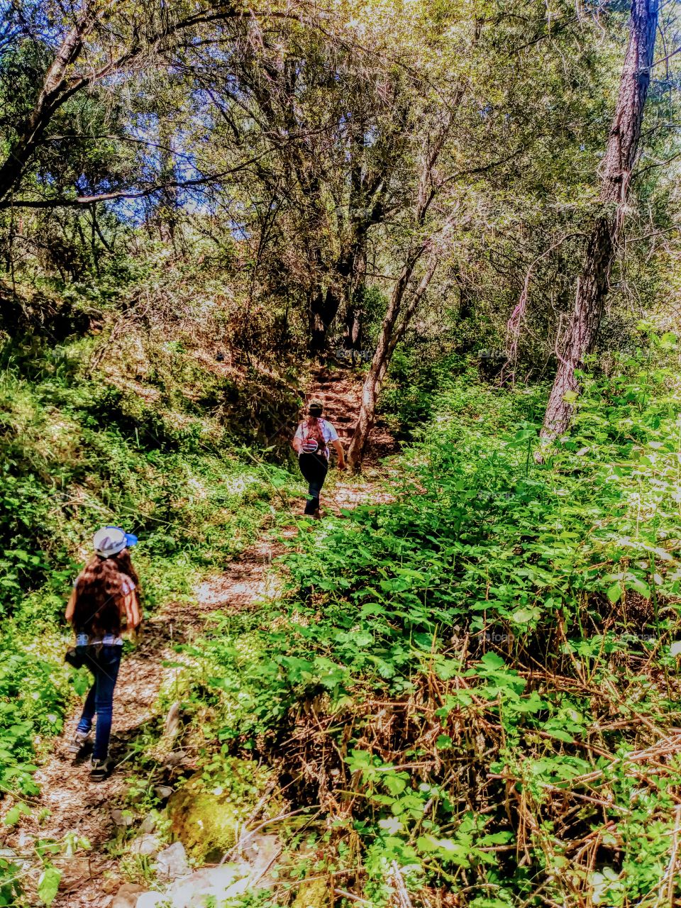 two adolescent girls hiking on path up a hill