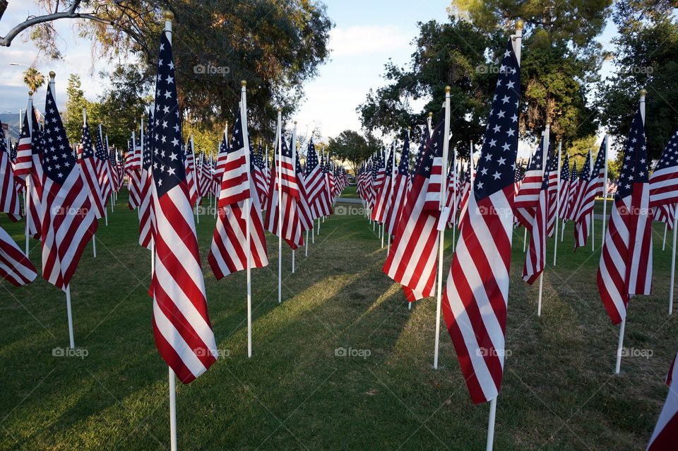 American Flags. Memorial Day. 