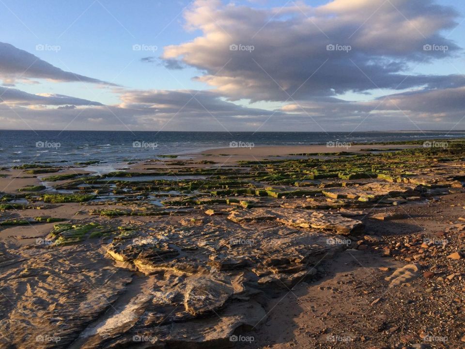 calmness. sea grass. water. spring