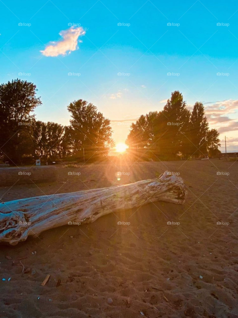 Summer means happy times and good sunshine. It means going to the beach, going to Disneyland, having fun.