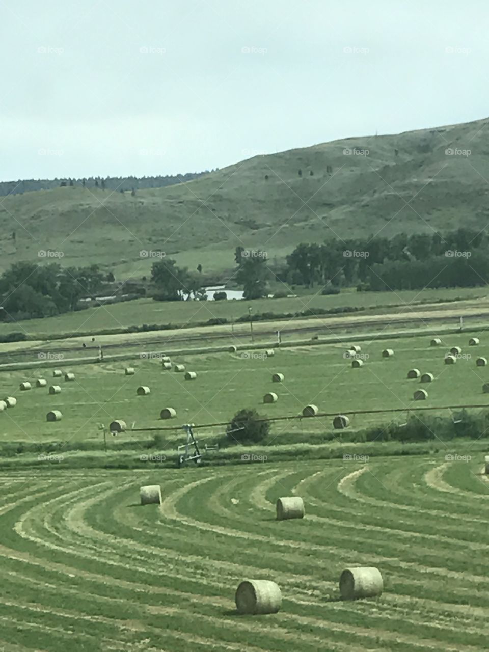 Hay rolls pasture 