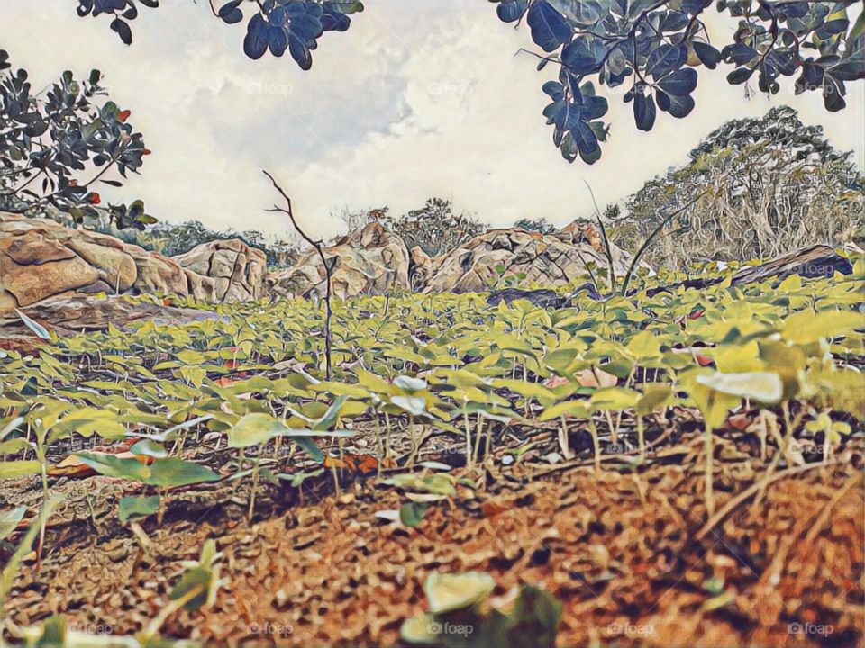 Our perspective can change from the angle we see things around us.