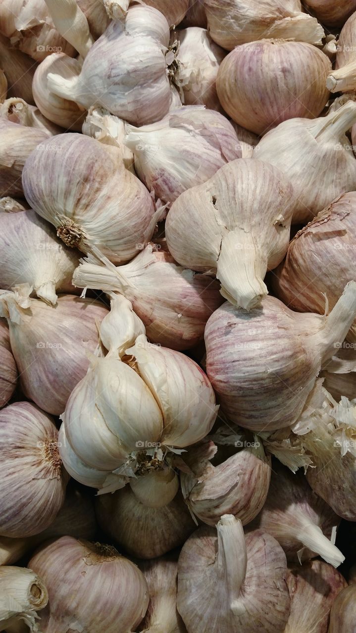 garlic bulbs. garlic bulbs