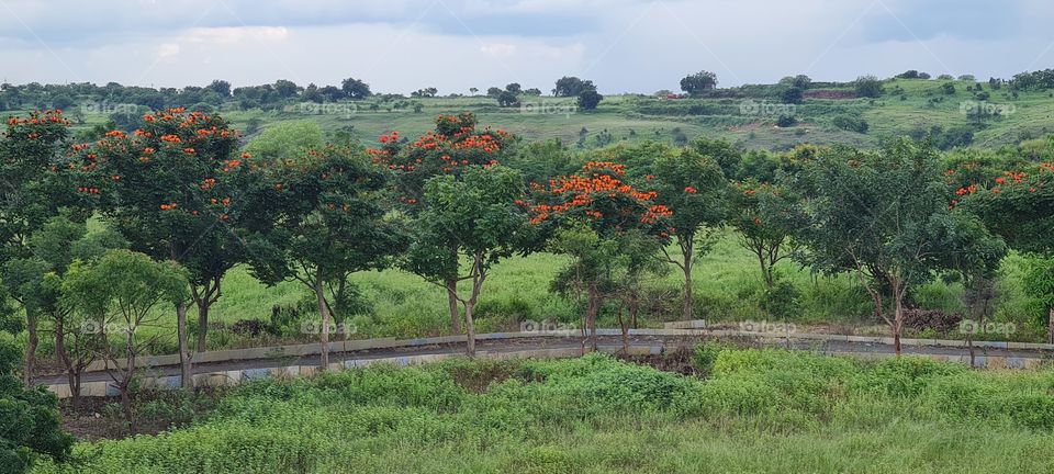 naladurga killa.....