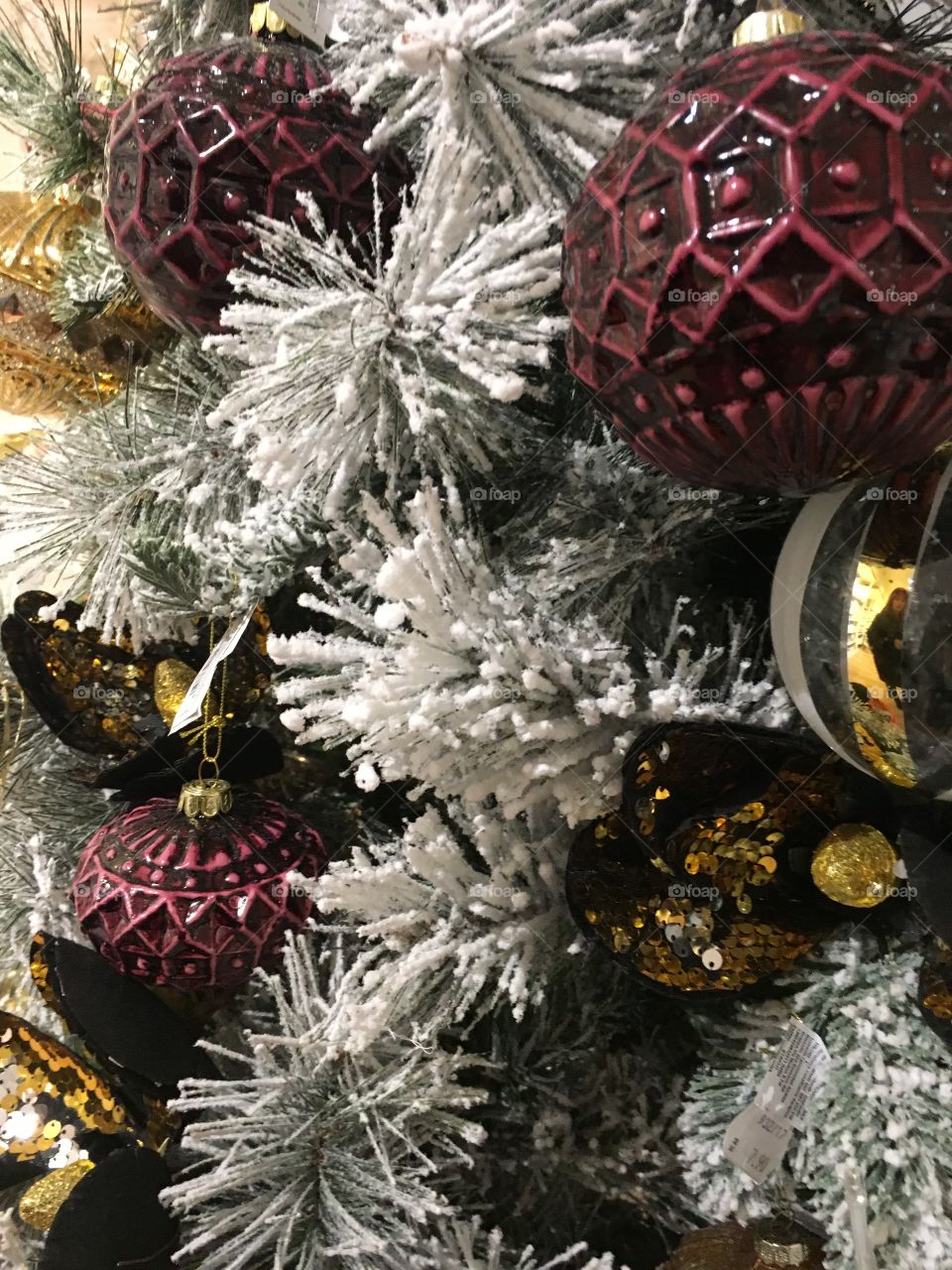 The best of the year