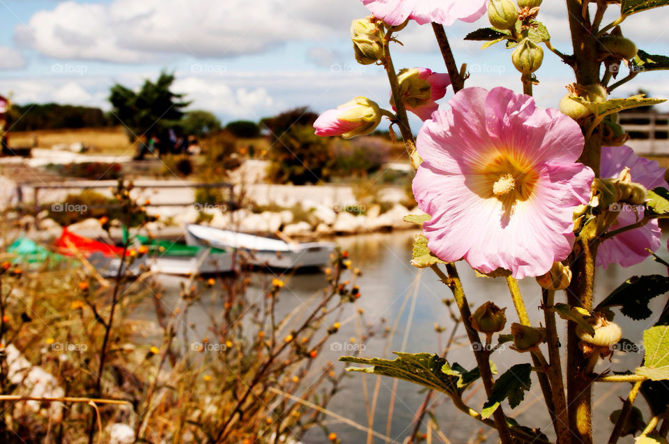 flower boats port de by ilsem16